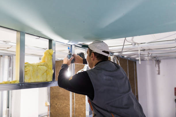 Best Local Insulation Services  in Hagerstown, IN